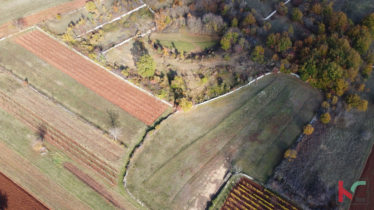 Istra - Svetvinčenat, zemljišče 5700m2 na mirni lokaciji